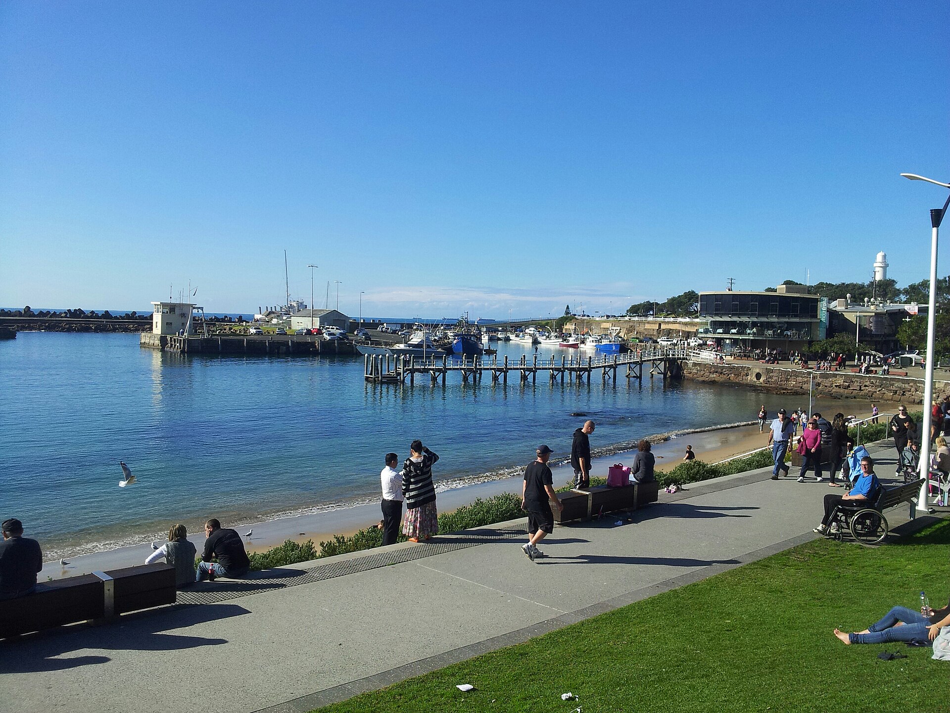 Build-to-Rent Arrives in Wollongong: What the New Model Actually Delivers for Tenants