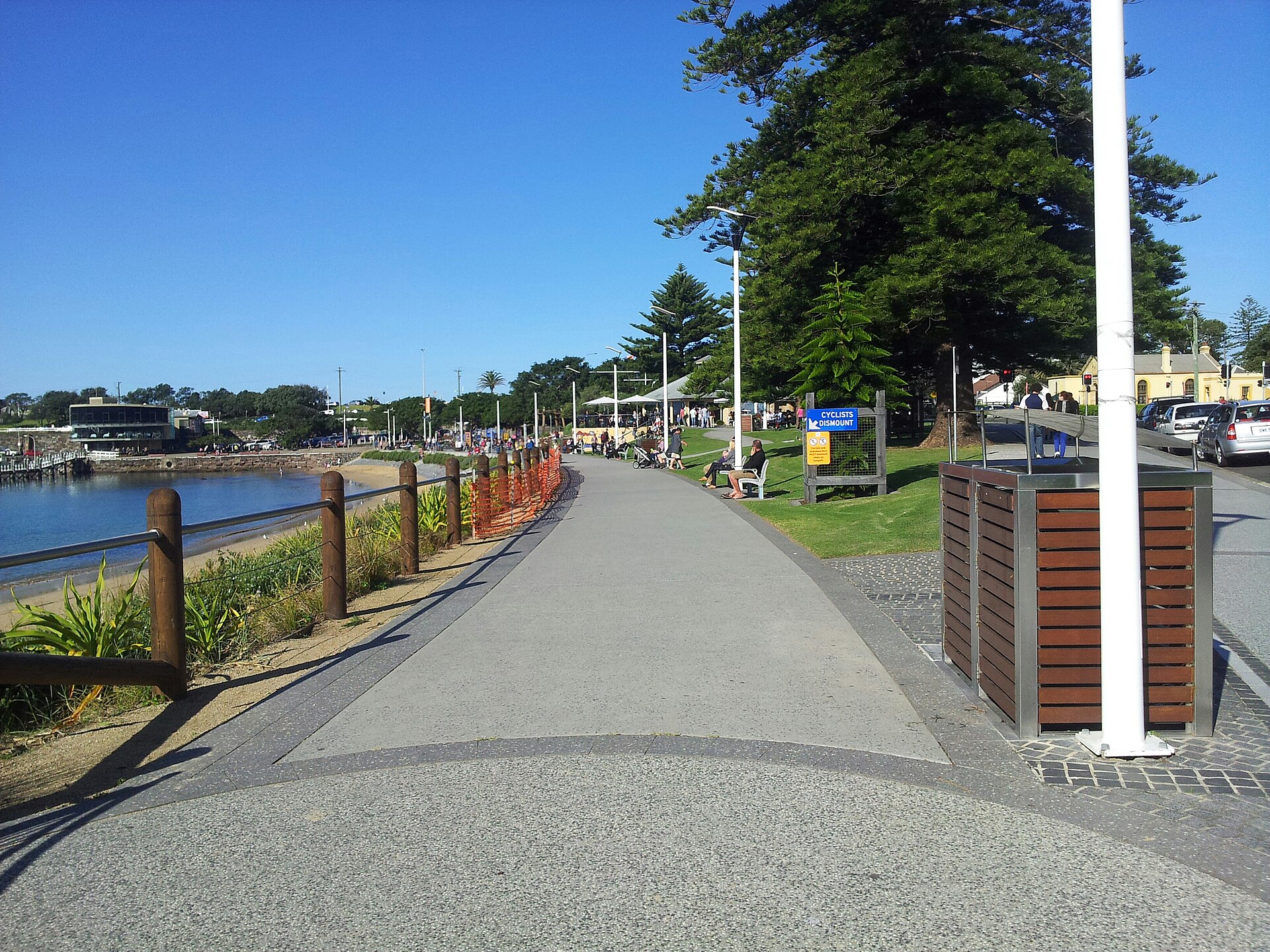 Arborists and Tree Removal in Wollongong 2026, Tree Lopping Costs, Council Permit Requirements, and How to Find a Certified Arborist Near You