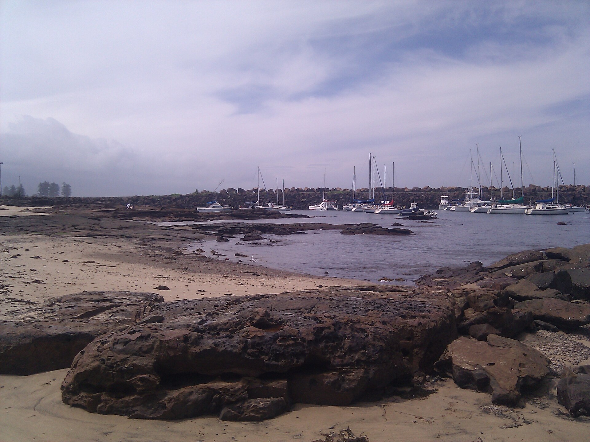 Tips and honest recommendations from locals who live it daily in Wollongong