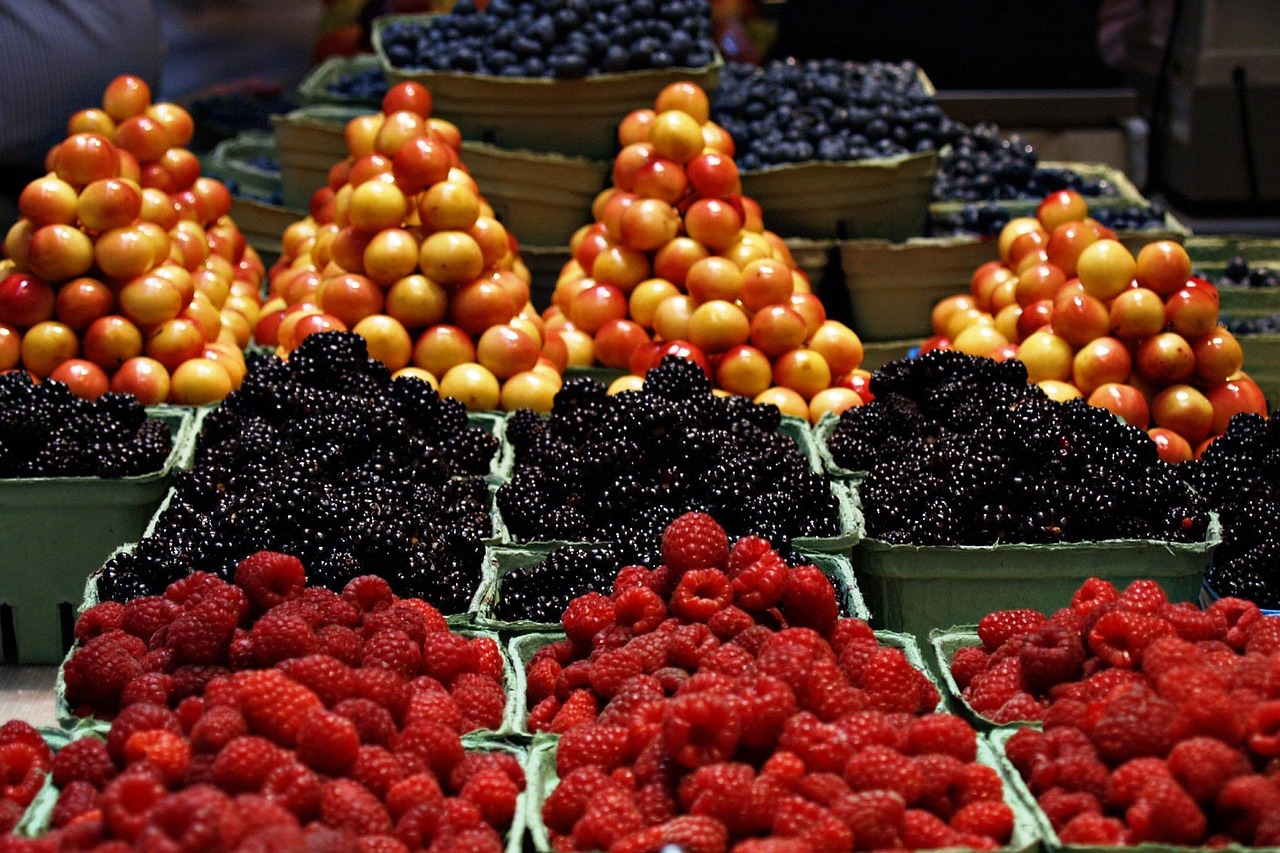 Markets and makers in Wollongong