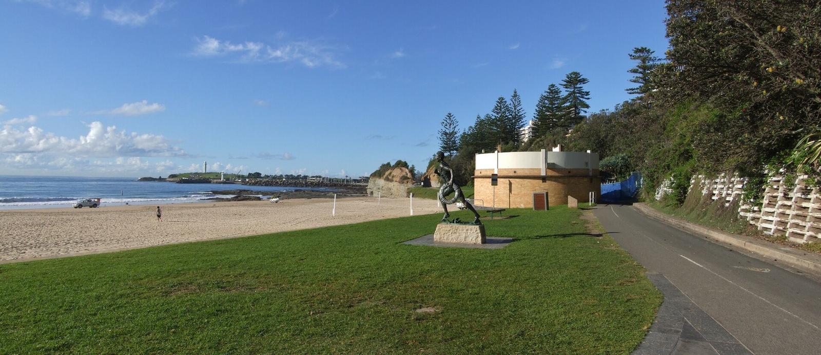 Wollongong’s Dog-Friendly Parks Double as Social Fitness Hubs